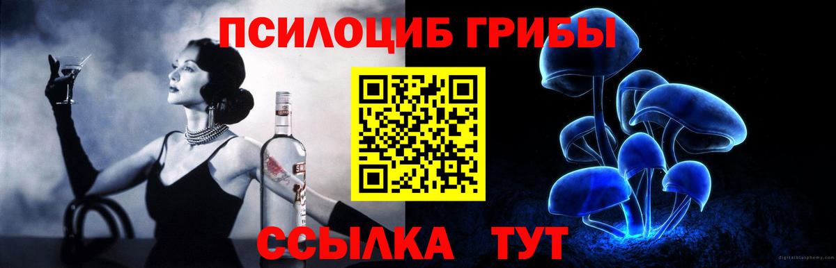 Галлюциногенные грибы Psilocybine cubensis Щёлково
